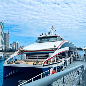 High Quality Fast Passenger Ferry China <strong>Best</strong> Shipyard Custom-built Vessel <strong>Cruising</strong> Sightseeing <strong>Ship</strong> - Product Image 4