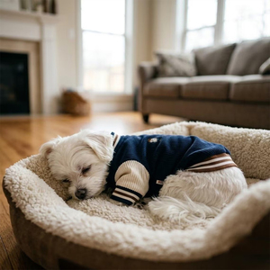 Vpetbr Felpa Personalizzata per Cani, Abbigliamento Coordinato, Vestiti Sportivi per Bulldog Francese, Giacca in Corduroy per Bassotto - Product Image 4