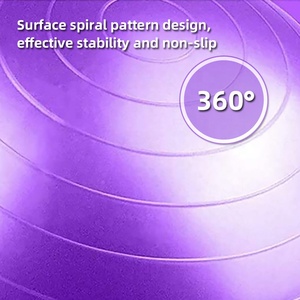Antiexplosion Yoga Ball Gym Ball 65 Cm Custom Yoga Ball Fitness Sport Accessories Pilates Essentials Kit Integrated Gym <strong>Trainer</strong> - Product Image 4