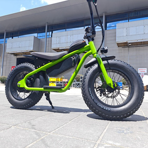 Hors route 500W 750W 20 pouces gros pneu Balance conception vélos Ripper 36V 13AH <span class=keywords><strong>Mini</strong></span> enfants vélo électrique pour jeune cavalier - Product Image 1