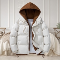 Veste d'hiver personnalisée pour homme, style puffer, décontractée, épaisse, chaude, coupe-vent, pour l'extérieur, résistante au froid, avec capuche, en duvet