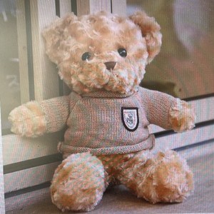 Peluche Personalizzati con Logo, Orsetti di Peluche Carini per San Valentino, Giocattoli di Peluche 8-13 Anni, Formaggio all'Ingrosso per Kawaii - Product Image 3