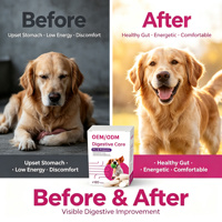 Complément alimentaire pour animaux de compagnie, comprimés pour le soin des articulations, chiens, chats, haute teneur en protéines, OEM/ODM, glucosamine, MSM, extrait de curcuma, absorption rapide, sain