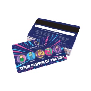 Nhà Máy Giá (r) cổ điển 1K Chip trống PVC Glossy bề mặt thẻ with13.56mhz chip không tiếp xúc - Product Image 1