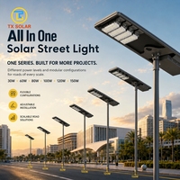 Farola Solar Profesional Todo en Uno de Alta Eficiencia, Ahorro de Energía, con Atenuación Automática