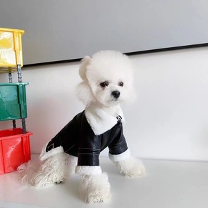Magnifique veste d'hiver en cuir pour animaux de compagnie, noire, coupe-vent, pour chiens de petite et moyenne taille, Bichon Schnauzer, bouledogue français, Teddy Dog - Product Image 1