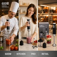 Ensemble de mixeur plongeant 600W 4 en 1, corps en acier inoxydable, 2 vitesses, fouet double, bol hachoir, lame SS304, VDE