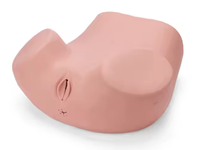 Simulador de Examen Ginecológico de Alta Fidelidad para Exámenes Uterinos Completos Avanzados, Entrenamiento en PVC, CE/ISO