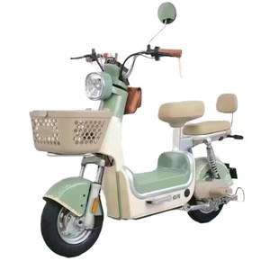 Vélo électrique pliable super léger pour les trajets en ville, la métro et les trajets domicile-travail - Product Image 4