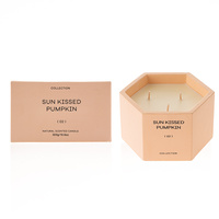Bougie parfumée M&Sense en pot en ciment, 3 mèches, grande taille, 100% cire de soja, logo personnalisé, bougie parfumée de luxe