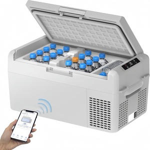 ICECO Cooler <strong>Box</strong> 20L 40W Camping Fridge <strong>Freezer</strong> Portable 24V/12V Car Refrigerator Steel Stainless For Truck RV Car - Product Image 1