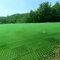 Stabilisation des routes, pavés en plastique HDPE de 500 mm * 500 mm * 50 mm, pavés pour allée, grille de sol, gravier pour la pose de dalles de béton