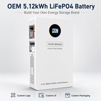 Batterie LiFePO4 OEM 5,12 kWh 51,2 V 100 Ah murale pour stockage d'énergie, marque privée, logo personnalisé, BMS pour solaire domestique