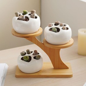 Support à plantes en bois à trois niveaux pour bureau, présentoir à mini-succulentes, couleur bois naturel, support à pots de fleurs à plusieurs niveaux - Product Image 1
