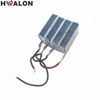 Chauffe-air en céramique PTC Température constante Élément chauffant Ptc 100W AC/DC 12V Incubateur