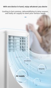 Condizionatore d'Aria Portatile da 1,5 <span class=keywords><strong>HP</strong></span> con Refrigerante R290, Facile da Installare, con Funzione di Deumidificazione - Product Image 3