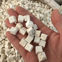 Extrait naturel de Poria Cocos 10:1, poudre brute d'herbes soluble dans l'eau pour mélanges alimentaires fonctionnels