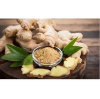 Gingembre frais cultivé en ferme, qualité supérieure, gingembre naturel de qualité export, ingrédient épicé pour la cuisine, usage quotidien en cuisine, Ocean Link