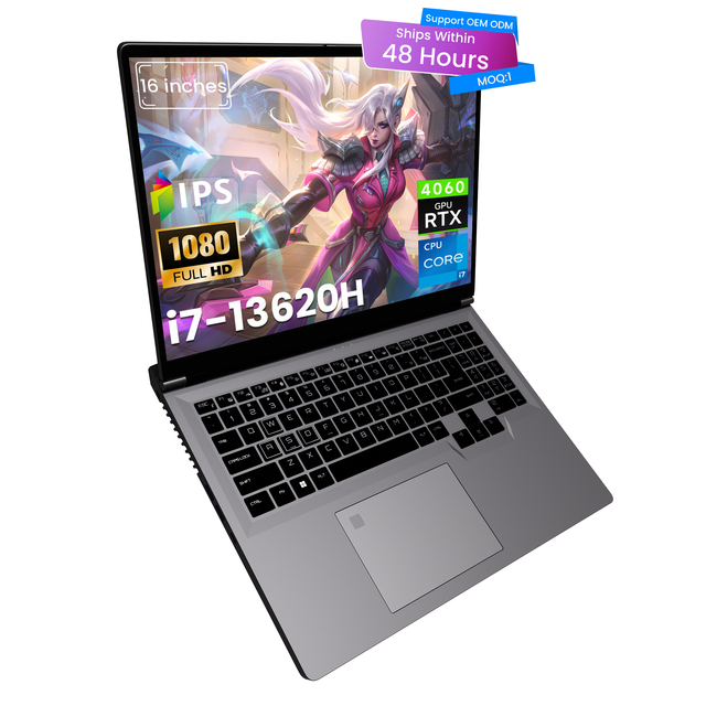 New Intel 16" Gaming Laptop Core I7-13620H 10-Core RTX 4060 8GB GDDR6 16GB DDR5 144Hz 16:10 1920x1200 IPS Display SSD