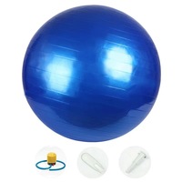 Palla da Yoga in PVC Anti-Scoppio, Spessa e Luminosa, per Pilates, Allenamento dell'Equilibrio, Uso Domestico e in Studio Fitness