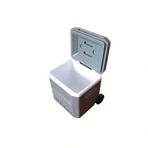 Custom Logo Pull <b>Rod</b> Wheeled Portable Cooler Box 18L Convenient Camping Travel Ice Chest Box - Product Image 4
