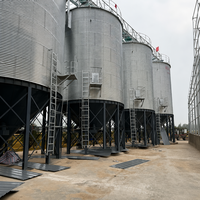 Silos à grains coniques Hopper Cone 100-10000T |   Structure boulonnée galvanisée à chaud, surveillance de la température, longue durée de vie (20-50 ans)