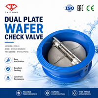Vanne de retenue double DN100 à bride G2, hydraulique haute pression, en acier inoxydable, pour air
