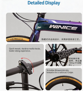 Vélo pliant WINICE portable 20 pouces en fibre de carbone Toray T700 T800, peinture caméléon, frein à disque hydraulique Shima-no 10 vitesses, <span class=keywords><strong>pneu</strong></span> 28 mm - Product Image 6