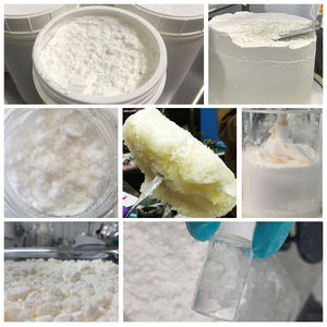 Filtre à noyau de sable pour réacteur en verre double couche Nutsche Filters & Filter reactor - Product Image 3