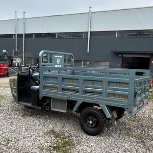 Triciclo a Benzina Economico e Durevole XW150ZH-24, Affidabile Veicolo a 3 Ruote per Logistica Rurale - Product Image 1