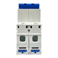 CHINT NXB-63 DZ30 DZ40 EPN DPN TPN 1P2P3P4P AC 230/400V Disjoncteur Montage sur rail DIN Commutateur d'air domestique miniature