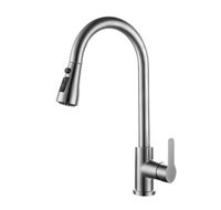 Robinet de cuisine traditionnel Wenzhou Feenice 304 à poignée unique, finition chromée, design flexible pour usage en cuisine