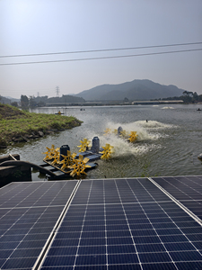 Dongling YC-0.75 Solar Pond Waterwheel Aerator Pump with Engine Motor High Productivity Cast Iron Housing 380V for Aquaculture - Product Image 5