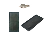 Piège à souris à colle collante avec plateau en plastique Piège à souris et rat avec tampon adhésif pour la lutte antiparasitaire