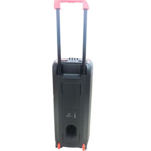 Enceinte portable double 8 pouces avec trolley, spectacle de lumière RGB, microphone sans fil, Bluetooth, FM, USB - Product Image 5