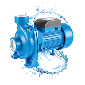 Pompe à eau électrique 1 CV DTM-18 pour le nettoyage de la maison et du jardin, centrifuge à simple étage, surpression, longueur de câble personnalisée - Product Image 2