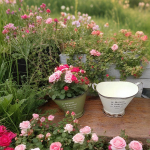 Bac à fleurs en fer épaissi de style <span class=keywords><strong>japonais</strong></span>, à double poignée, écoresponsable, idéal pour les jardins domestiques – Meilleures ventes - Product Image 1