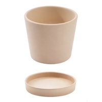 Pot de fleur de fleurs et de plantes en céramique d'argile de ciment minimaliste moderne nordique