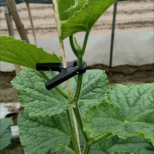 Clips para Sujetar Plantas, Clips para Orquídeas para Apoyar Tallos y Hacer Crecer Verticalmente para Enredaderas y Huertos - Product Image 1