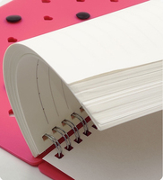 Benutzer definierte bunte A5 Größe Journal Briefpapier Silikon Tagebuch Notizbuch Diy Spiral Notizbuch