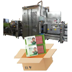 Delta parallel robot pick and place packaging machine carton packer complete carton installation system