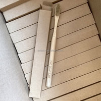 Brosse à dents en bambou naturel à poils de sanglier biodégradable écologique zéro déchet