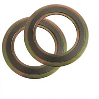Joint en spirale métallique avec anneaux intérieur et extérieur en acier inoxydable 304/316L pour vannes à bride, joint en graphite de type D amélioré