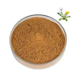 Werkslieferung Pflanzenextrakt bio-Dandelion-Wurzelpulver Pulver hochwertiges 10% Flavon-Pulver