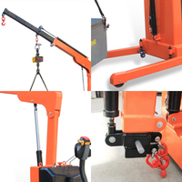 TDER Nouveau Modèle Grue à Flèche Électrique Mobile Multifonction 1 Tonne 24V Pratique