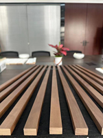Akupanel personnalisé Panneaux muraux acoustiques LED Panneaux muraux en bois clair avec projecteur LED caché