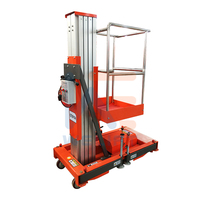 Plateforme de travail aérienne mobile verticale électrique hydraulique à double mât en aluminium 4M 6M 8M