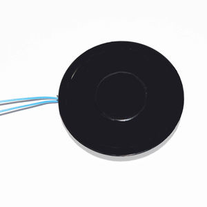 薄型マイクロ丸型電磁石リフティングミニチュアフラットディスク電磁石DC12V 24V保持電磁石 - Product Image 2