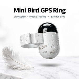 Práctico Anillo Rastreador GPS <span class=keywords><strong>para</strong></span> Palomas, Sin Necesidad de SIM, Anillo de Pierna con GPS y Wi-Fi <span class=keywords><strong>para</strong></span> Clubes de Palomas de Competición - Product Image 1