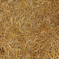 Broches plaquées or mélangées, broches de connecteurs électroniques de récupération pour la récupération de l'or, le recyclage des déchets électroniques et la raffinage des métaux précieux